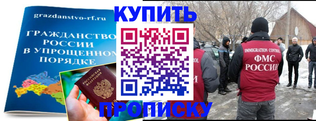 временная регистрация поиск в Полярном